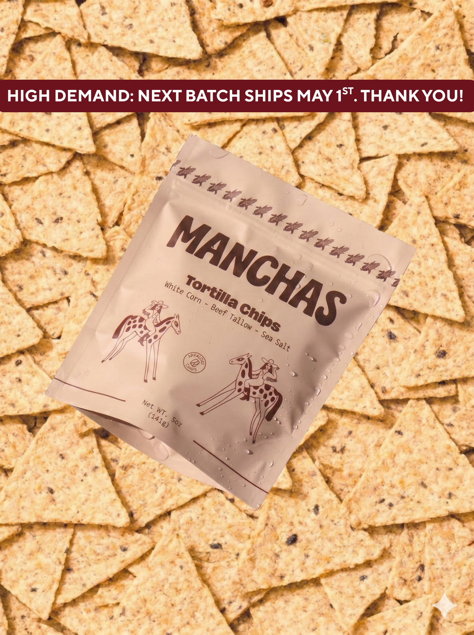 Manchas tortilla chips single 5 oz bag made with white corn, beef tallow, and sea salt